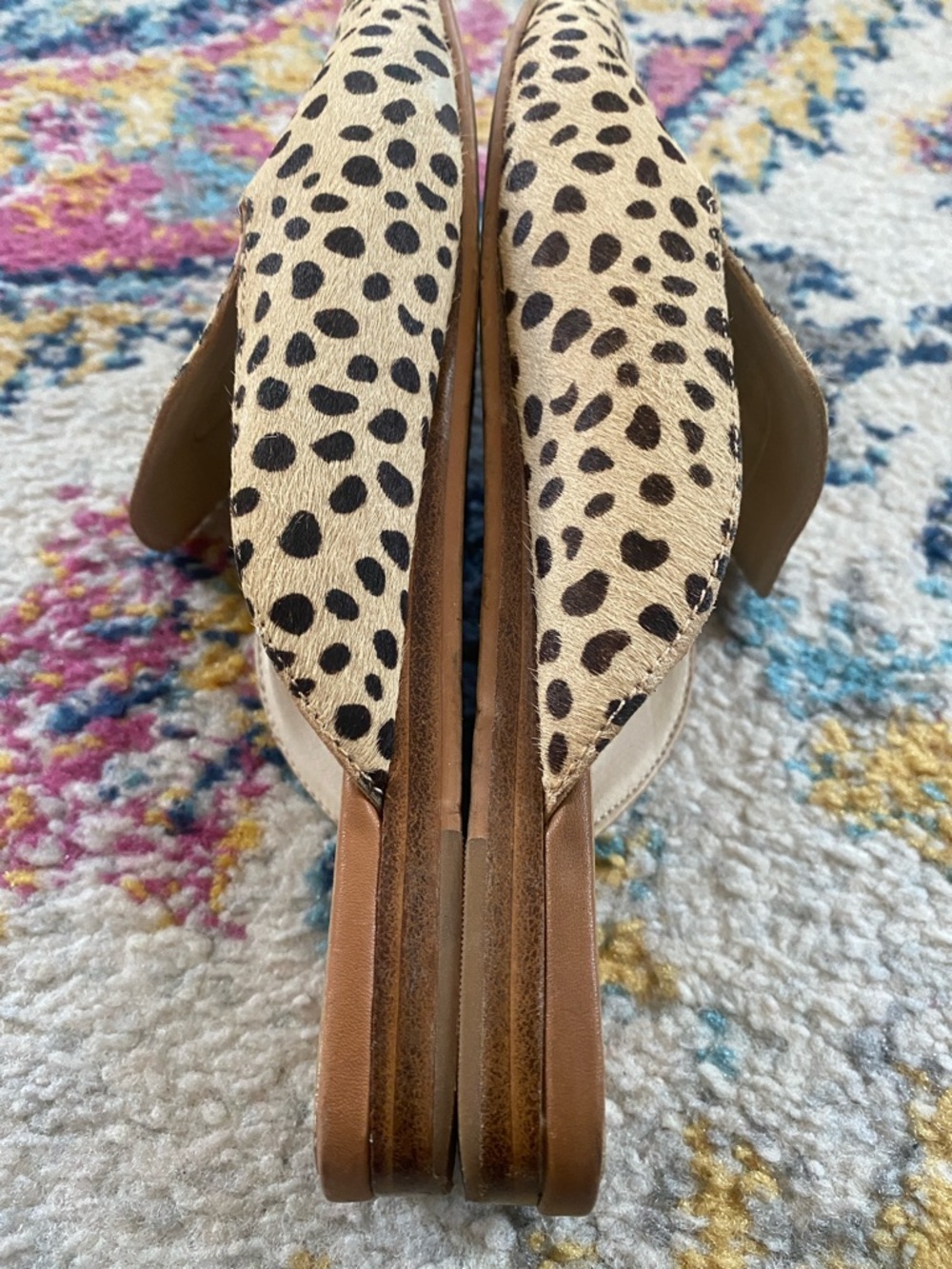 Dolce Vita Shoes - Picture 8 of 11